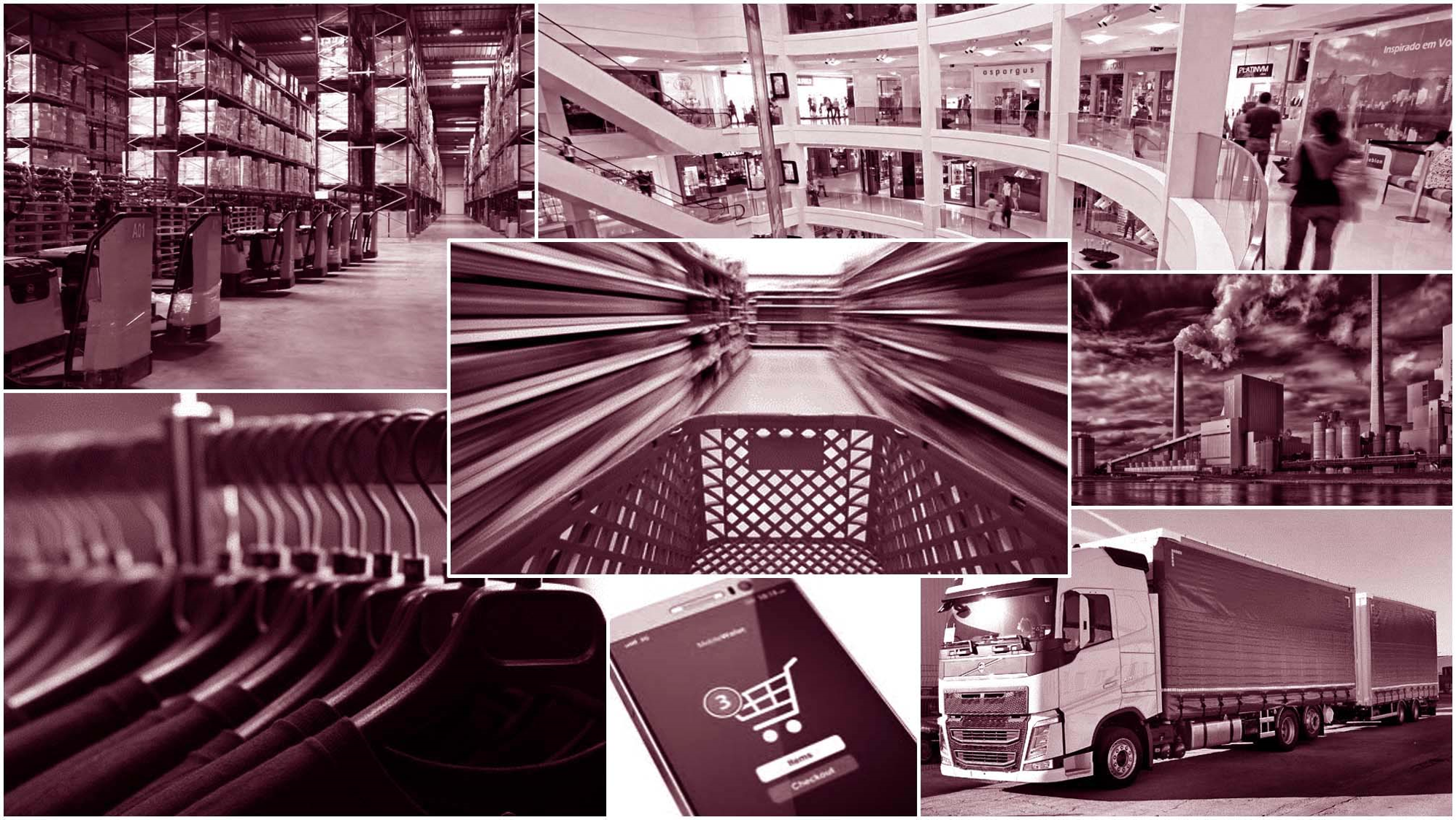 ACSEP Supply chain logistics expertise 